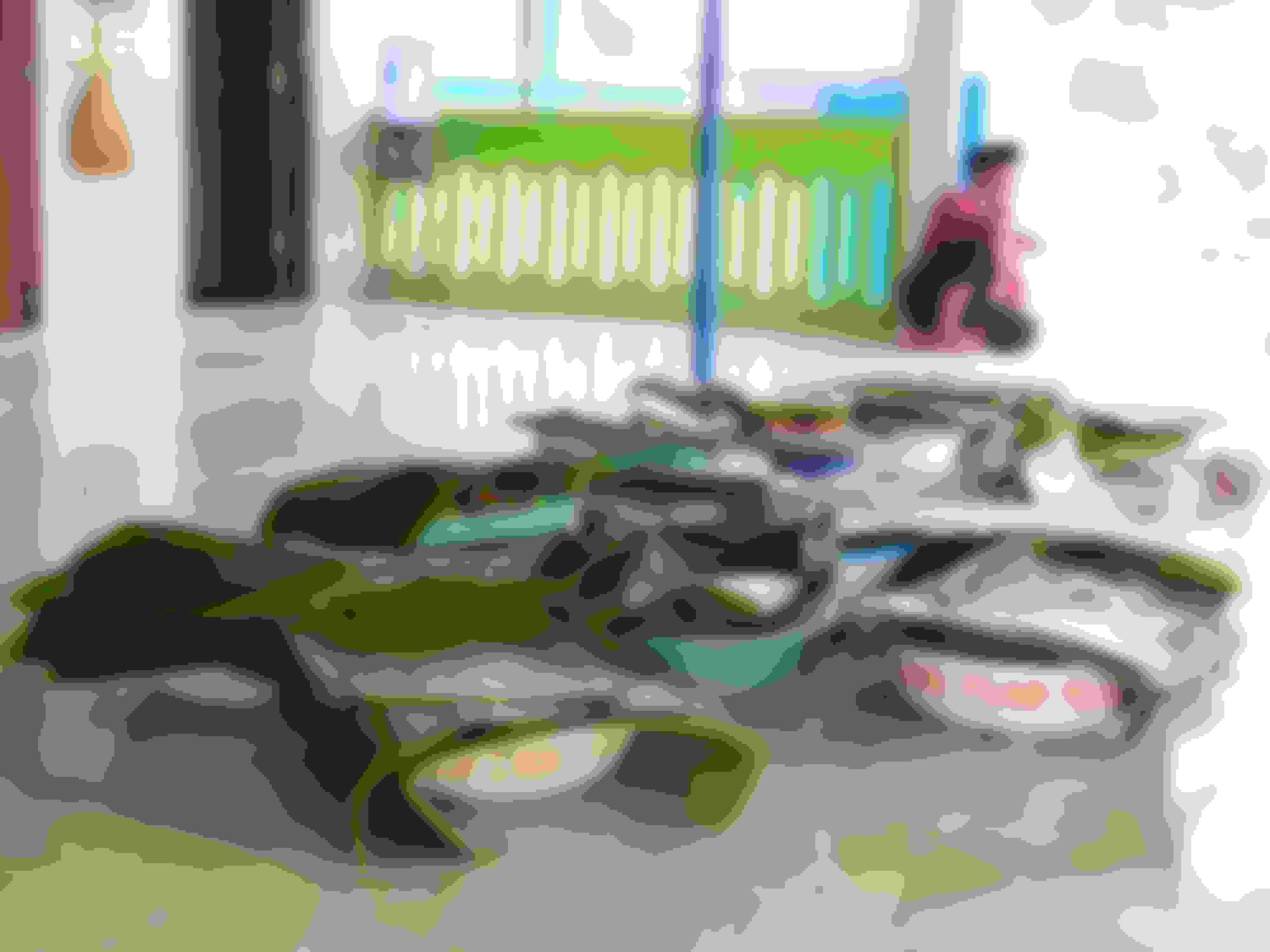 editorialonly_blitaraugust19_corry editorialonly_blitaraugust19_corry