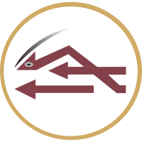Libyan Airlines