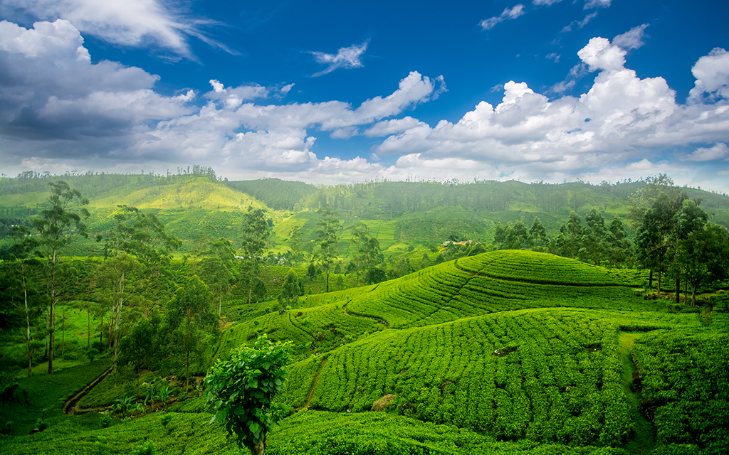 Sri Lanka - Traveler view, Travelers' Health