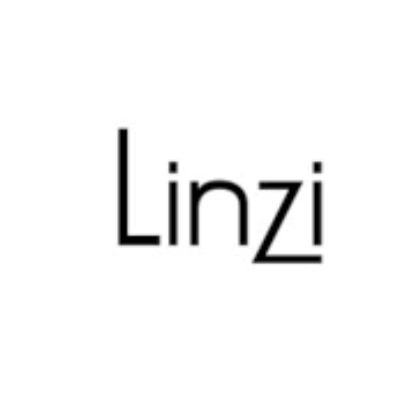 لينزي logo