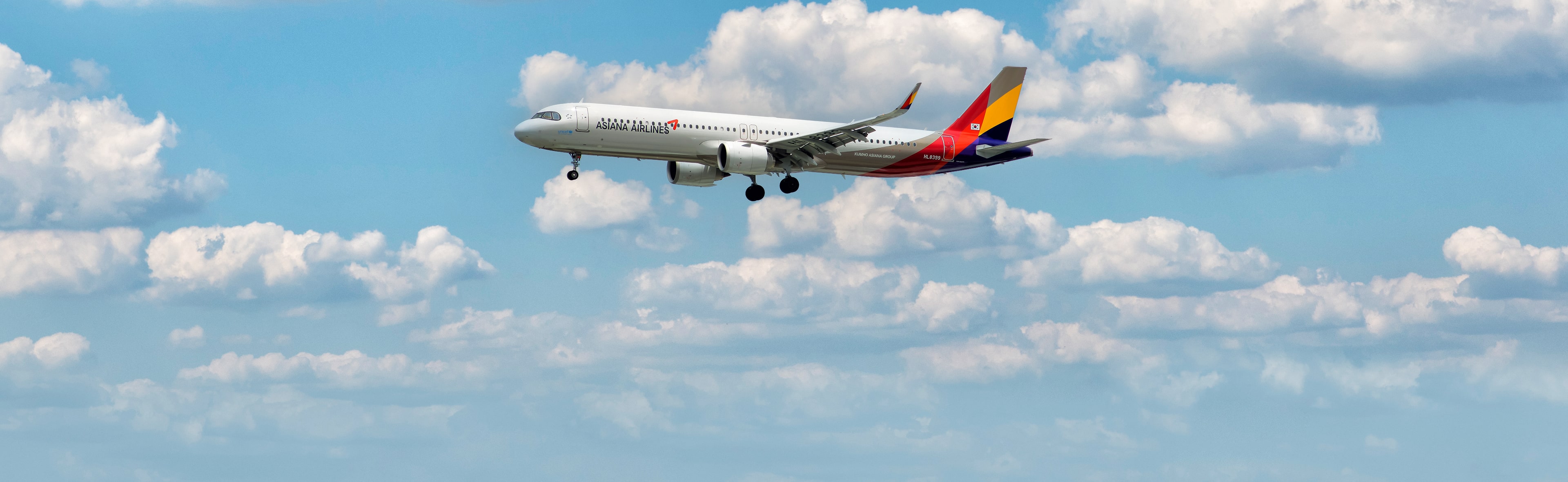 Book Asiana Airlines (OZ) Flights - Cheapest Tickets & Daily Deals 2026 |  www.wego.com