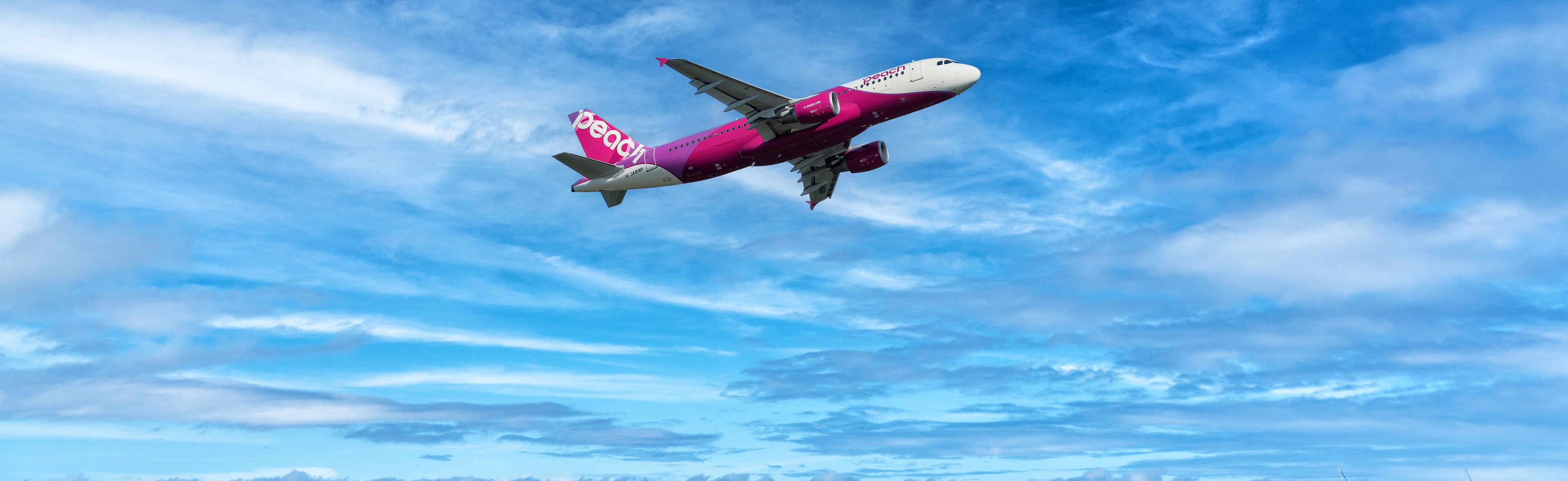 Peach (ピーチ) (MM) のフライトを予約 - 最安値のチケットと日替わり割引 2026 | www.wegotravel.jp