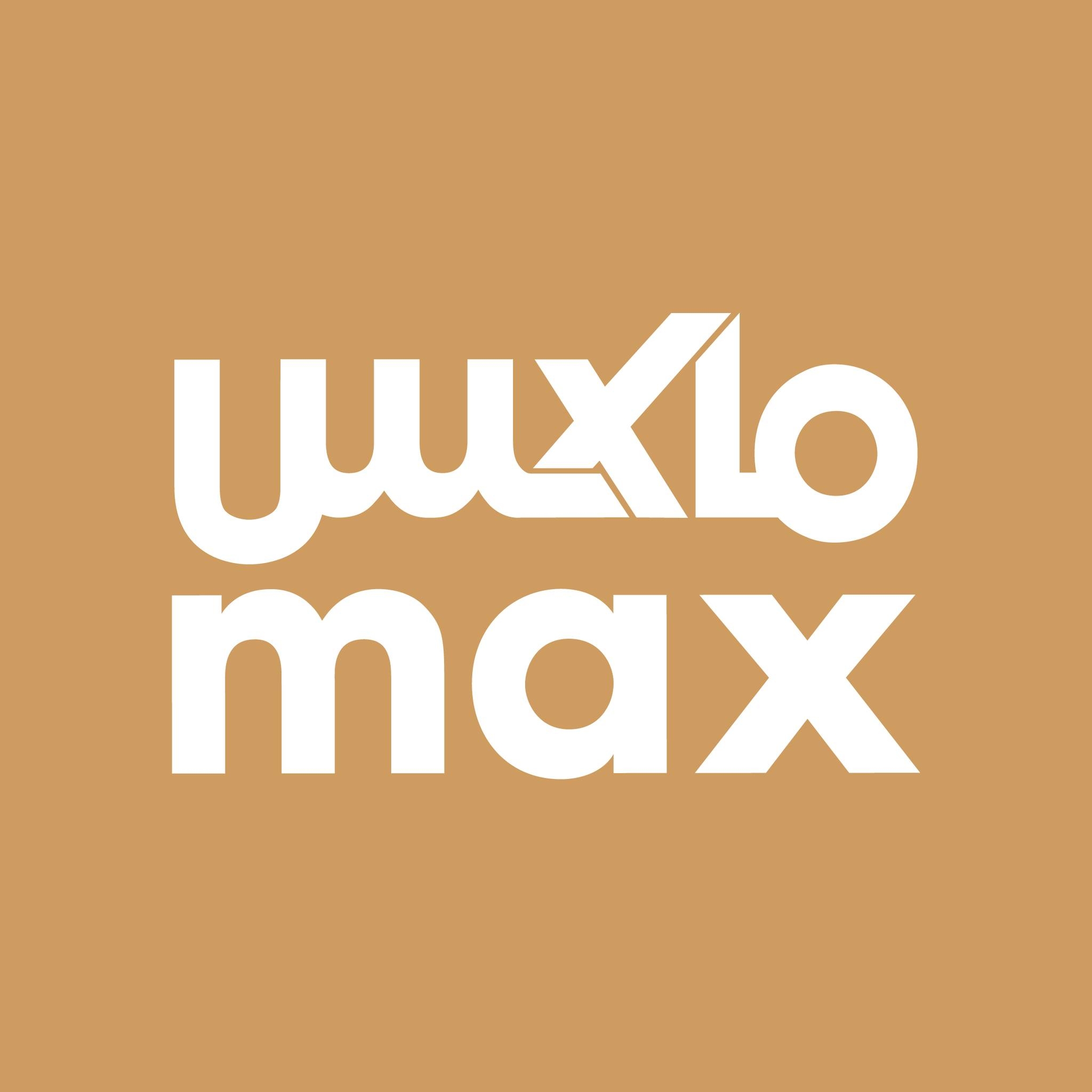 Max Fashion logo