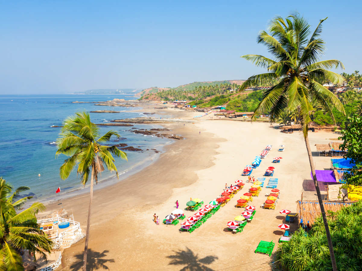 Cheap Flights From Bahía Solano To Goa From | BSC - GOI | www.wego.com