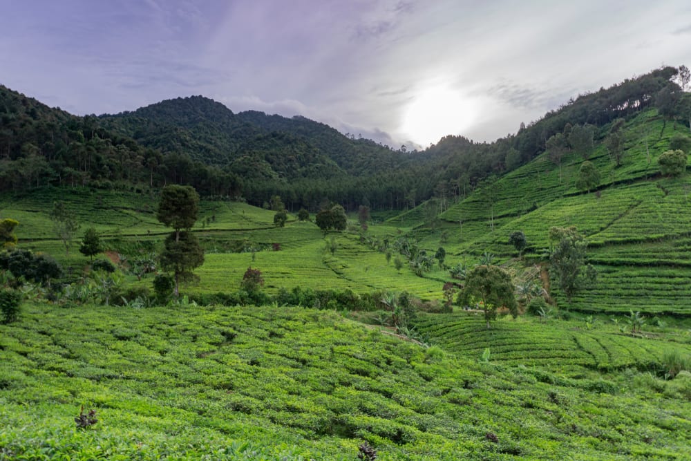 Gunung Burangrang, Bandung: trekking oke buat newbie | Wego Indonesia