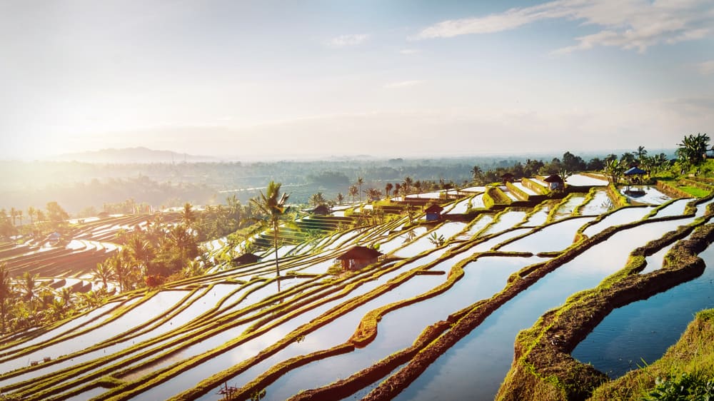 "Subak" di area persawahan Jatiluwih