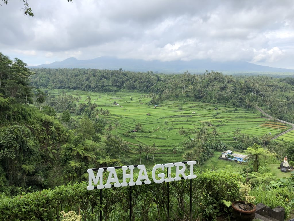 Pemandangan sawah dari Restoran Mahagiri